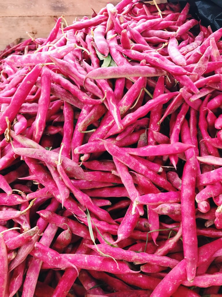 Porotos granados, chilean variety