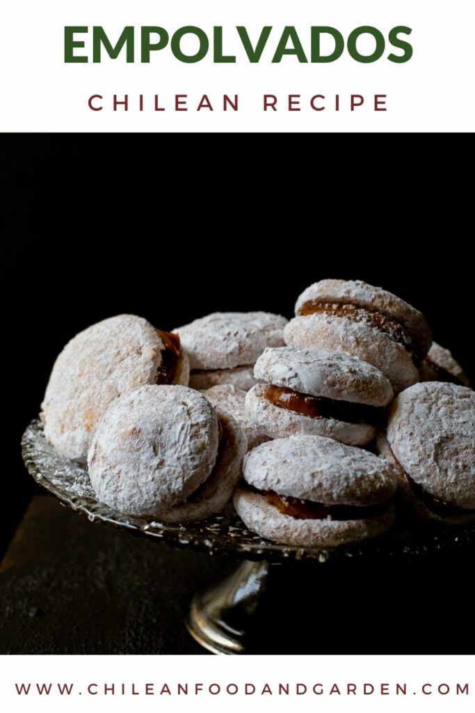 Chilean Empolvados or powder puffs