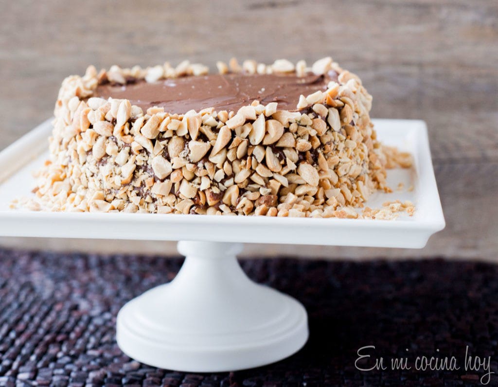 Nutella and Peanut Layer Cake