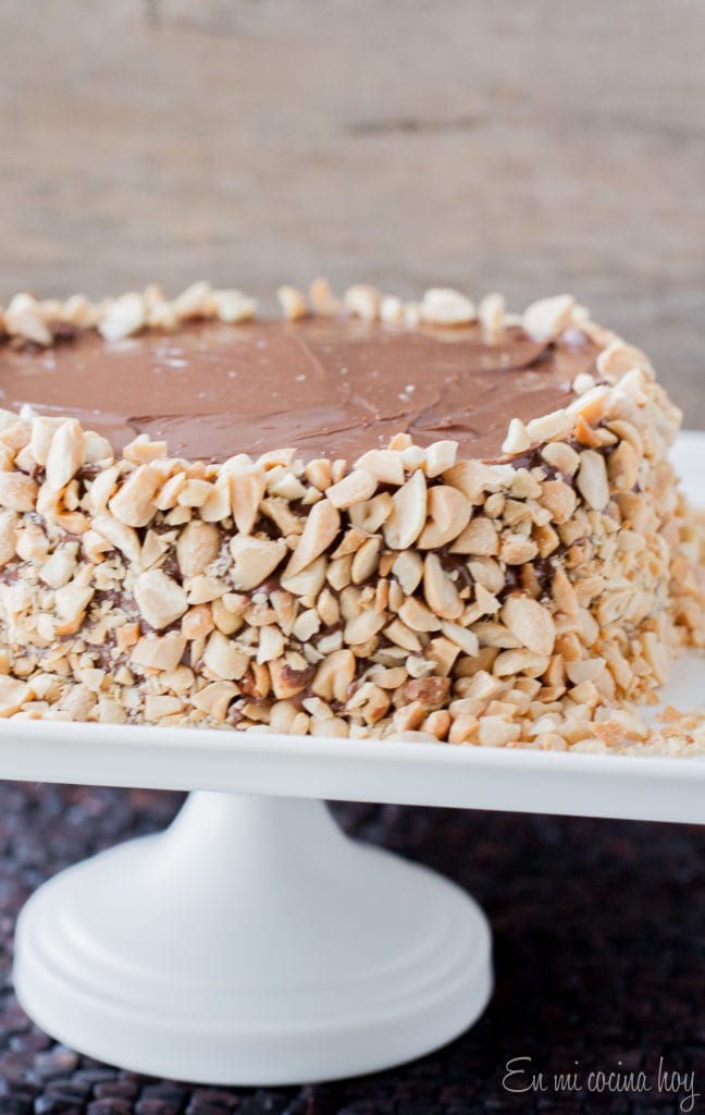 Nutella and Peanut Layer Cake