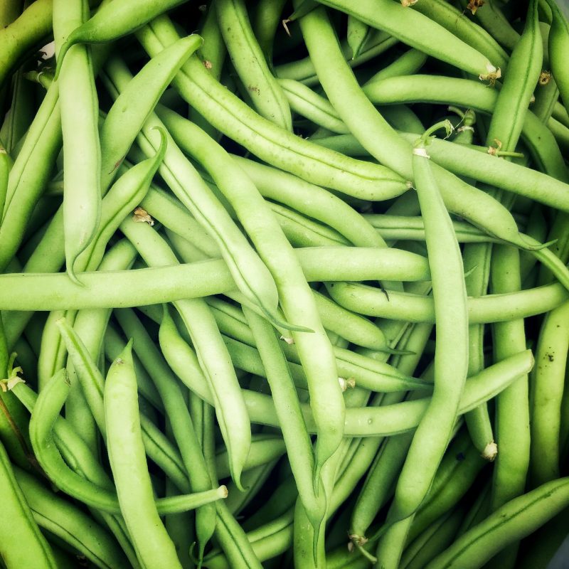 How to Grow Beans in Houston - Pilar's Chilean Food & Garden