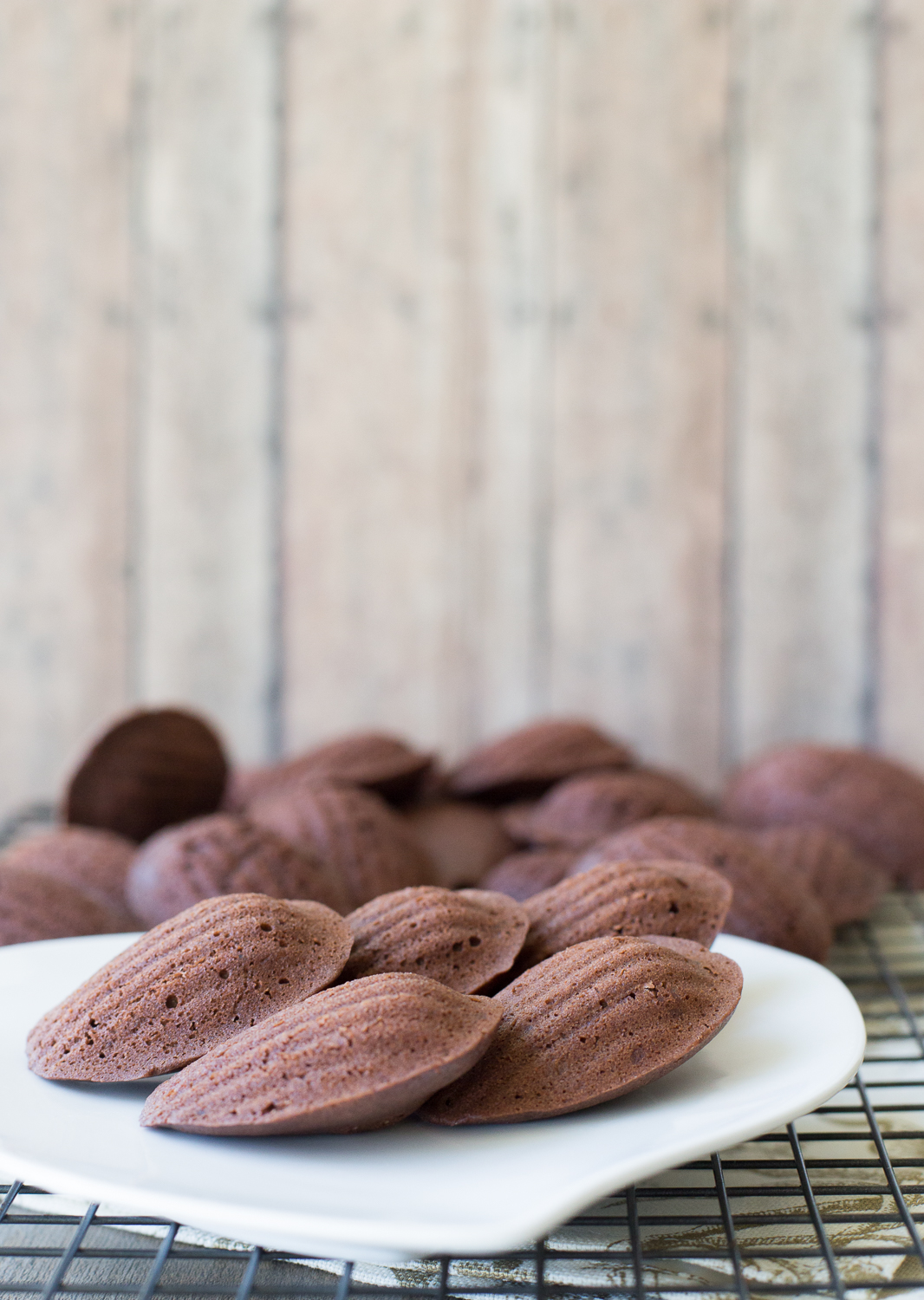 Chocolate Madeleines