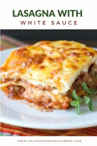 Lasagna with white sauce