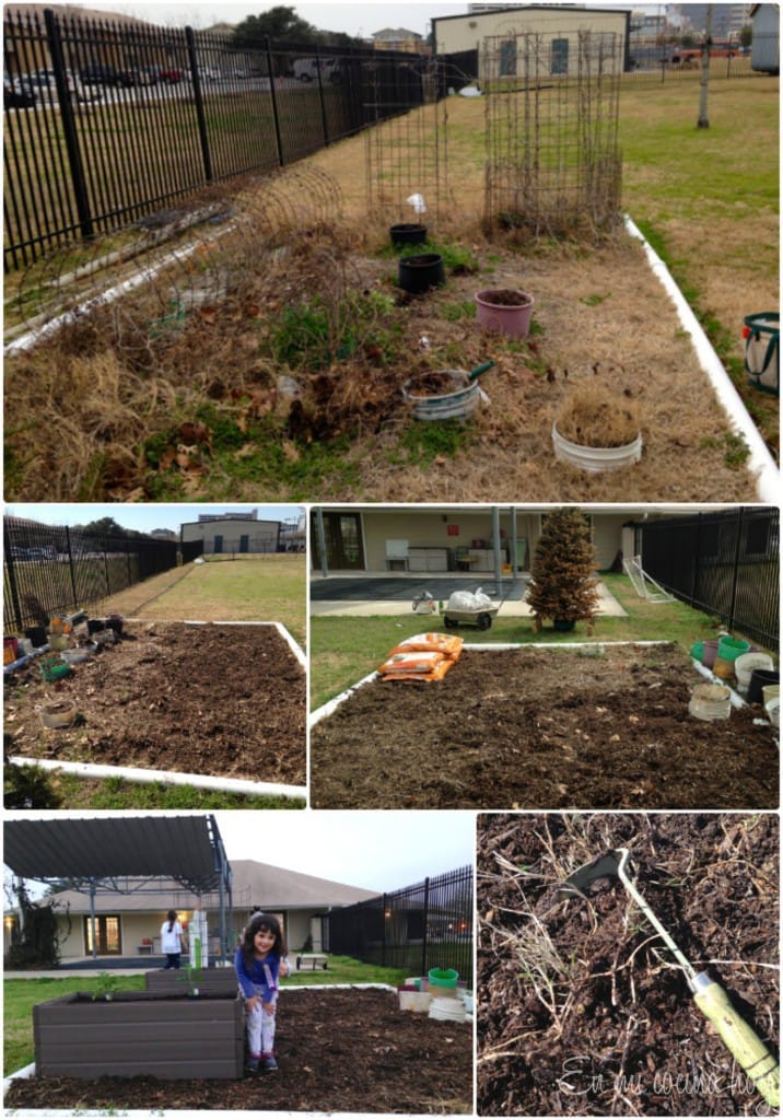 Kindergarten vegetable garden