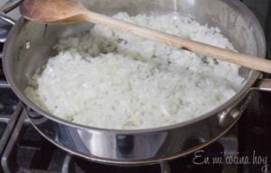 Onion on a pan