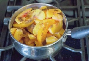 Peaches frozen with cinnamon