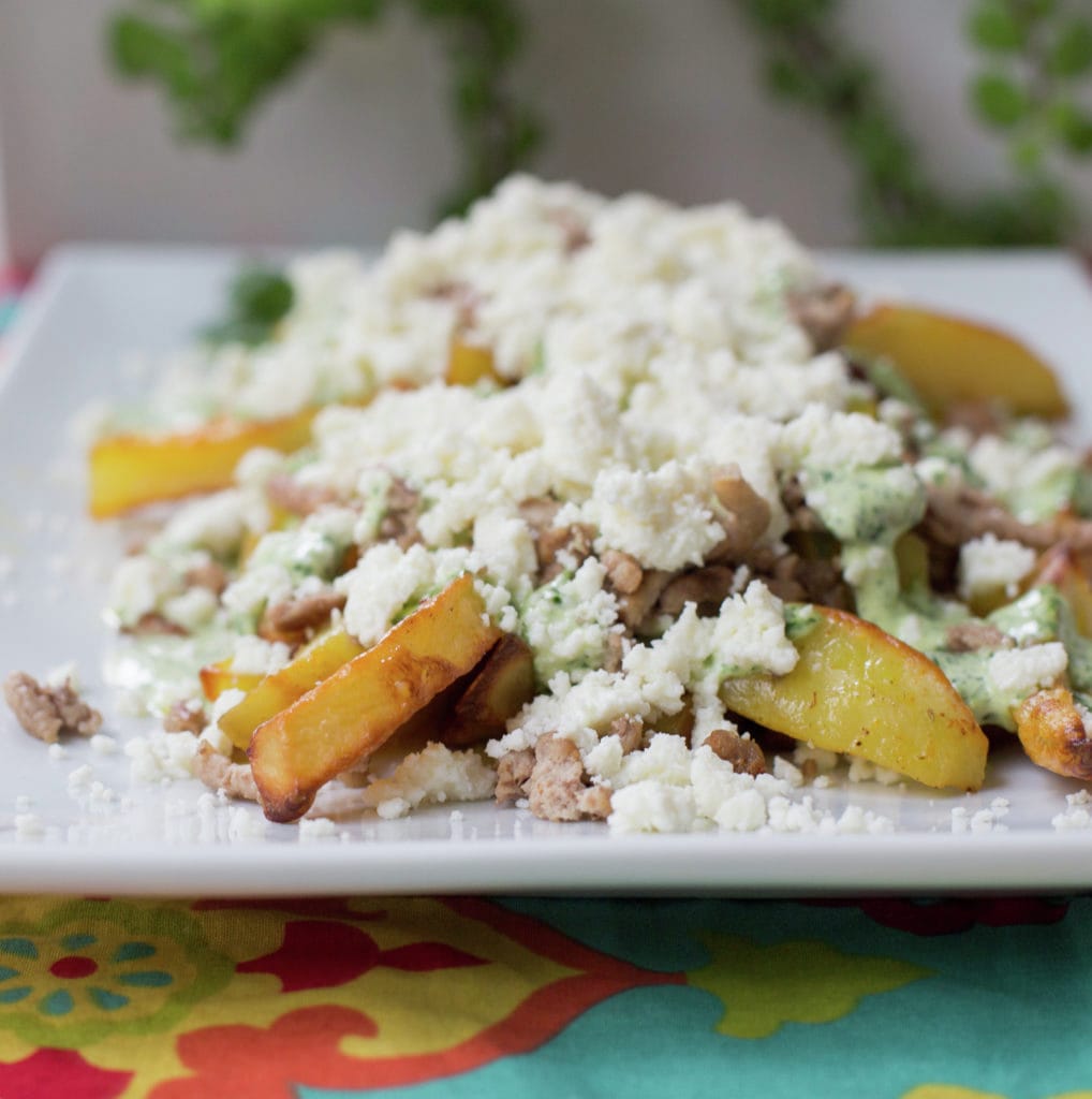 Queso Fresco Cilantro Pork Fries