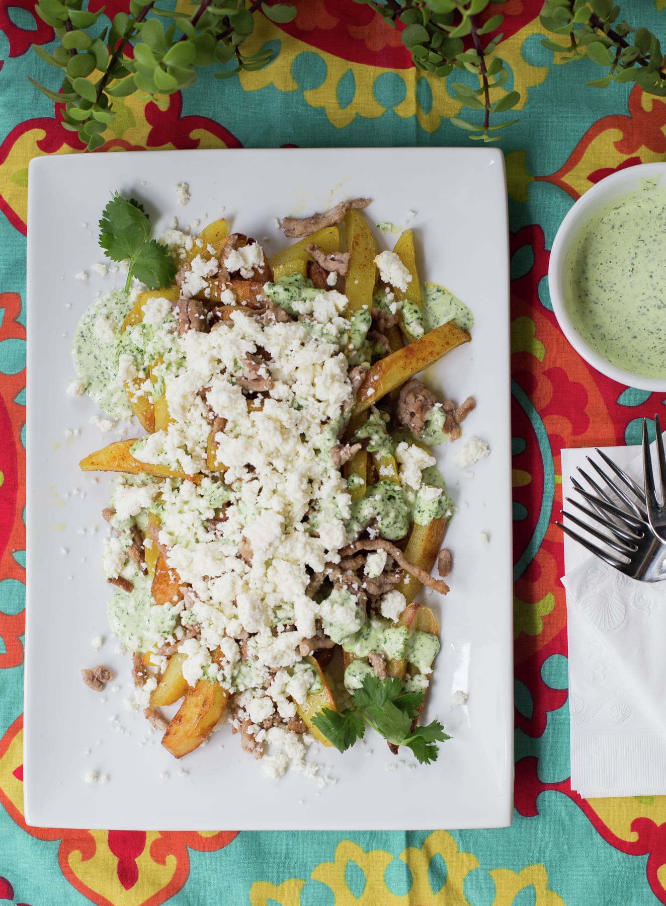 Queso Fresco Cilantro Pork Fries