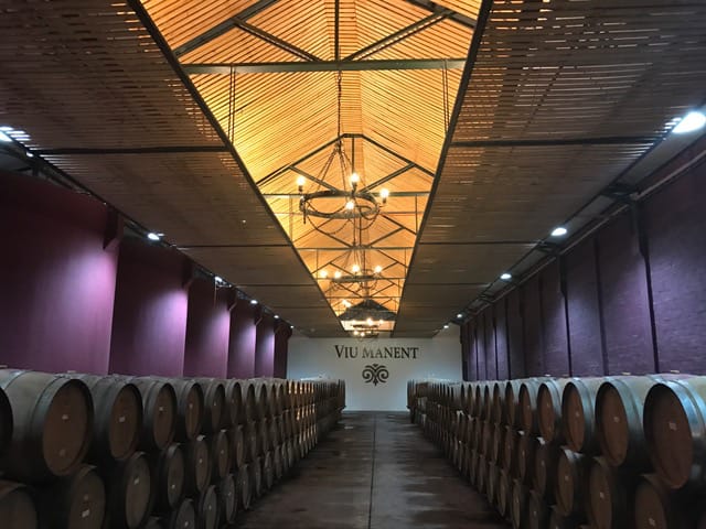 Chilean Wine country