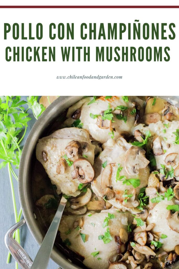 Pollo con champiñones Chicken with mushrooms