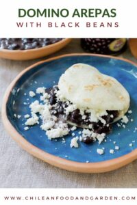Domino Arepas with Black Beans 