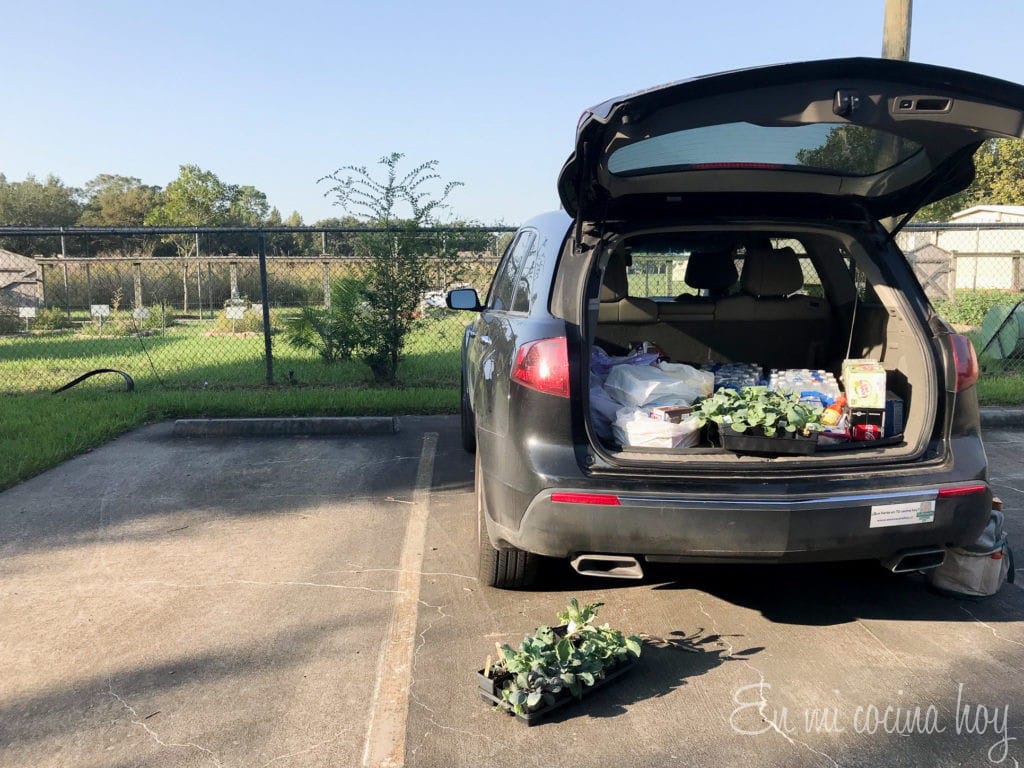 HEB Curbside Service