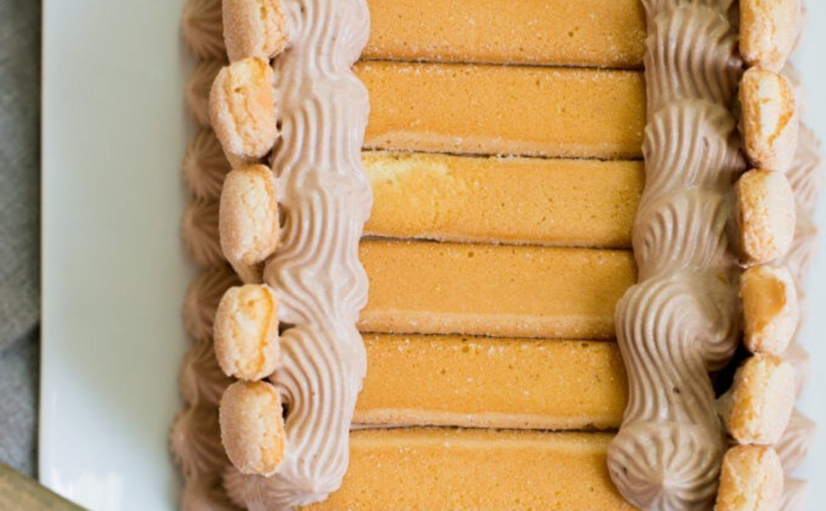 Chocolate Ladyfingers Icebox Cake Pilar's Chilean Food & Garden