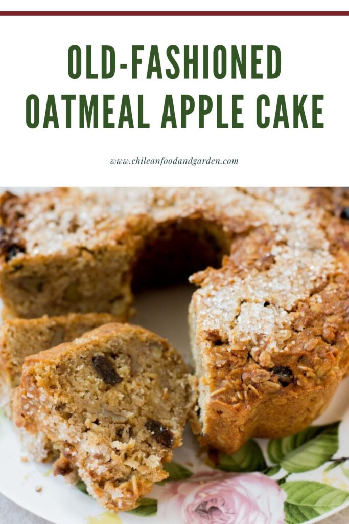 Pin for Old-Fashioned Oatmeal Apple Cake