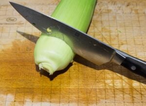 Cutting the base of the corn