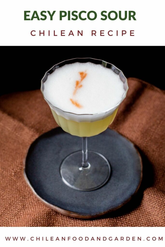 Easy Pisco Sour