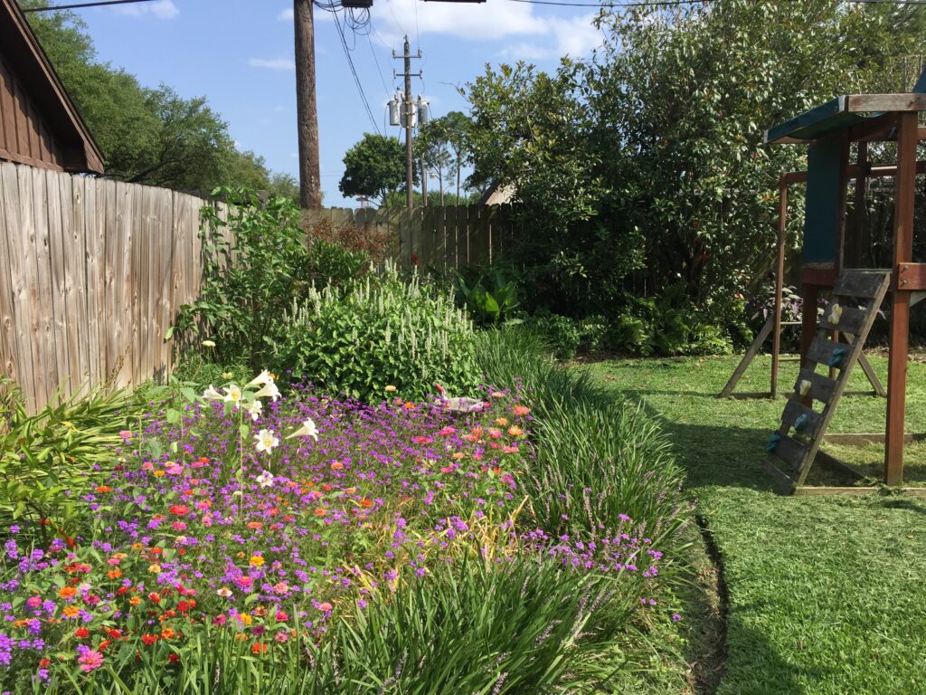 Meyerland garden