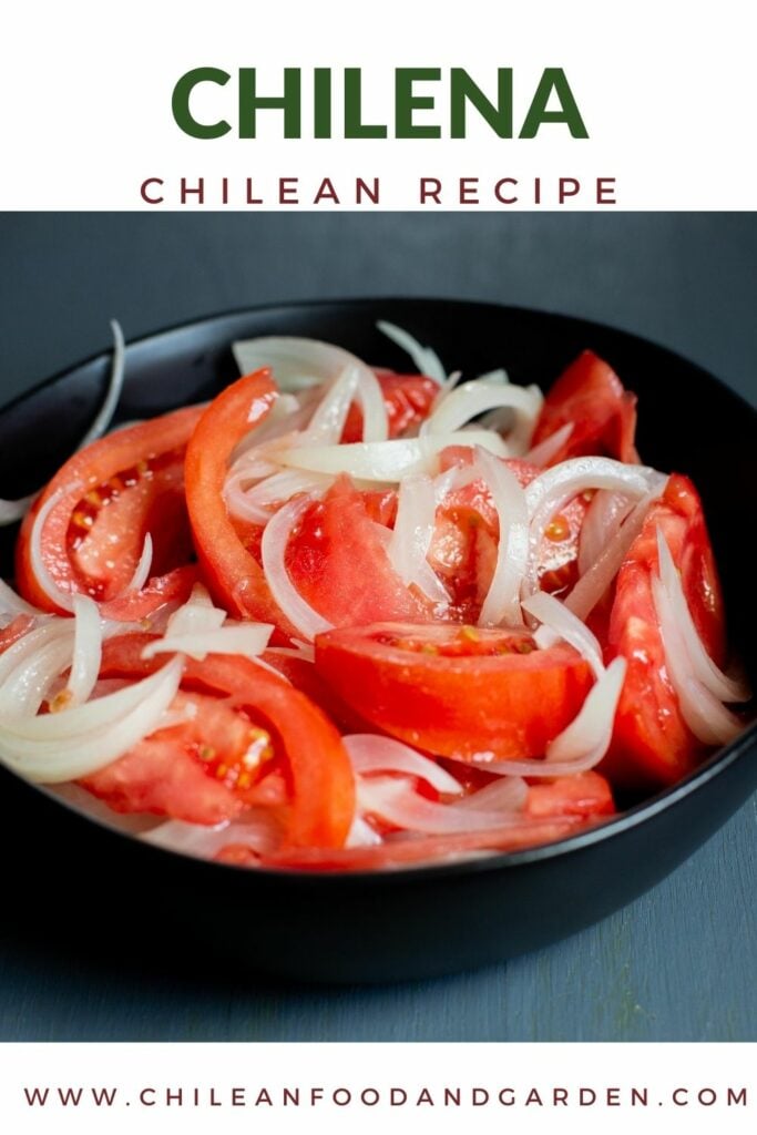 Chilean Salad, Ensalada Chilena with tomatoes and onions