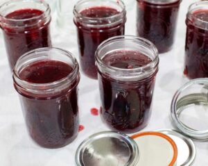 Filling jars with plum jam.