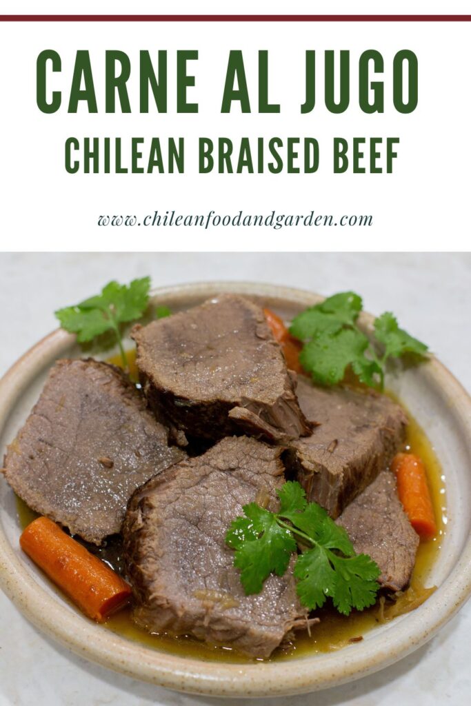 Pin for Carne al jugo Chilean Braised Beef 