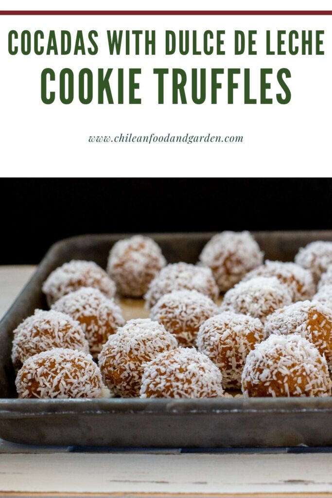 Pin for Cocadas with Dulce de leche (Cookie Truffles)