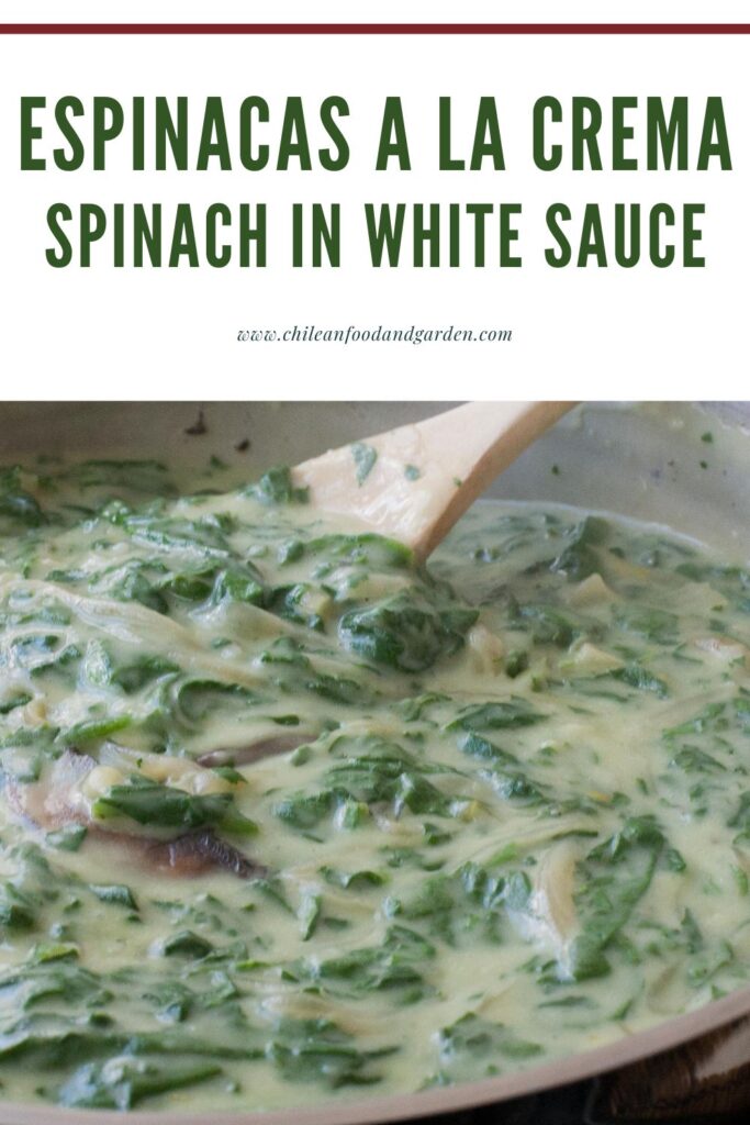 Pin for Espinacas a la Crema Spinach in White Sauce