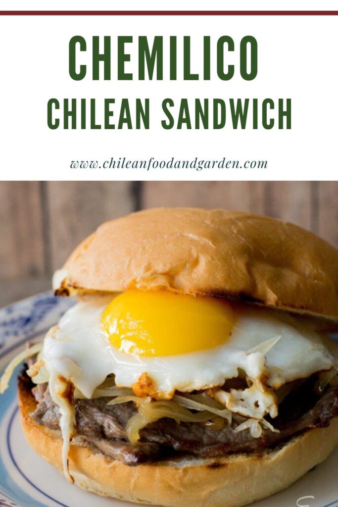 Chemilico Chilean Sandwich