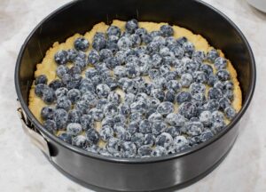 Blueberries con dough