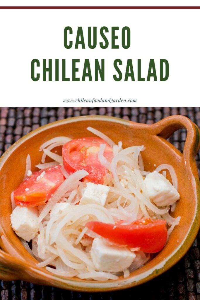 Pin for Causeo Chilean Salad