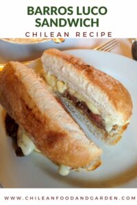 Chilean Barros Luco Sandwich