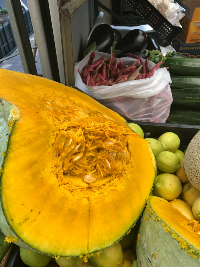 Chilean winter squash Zapallo Amarillo