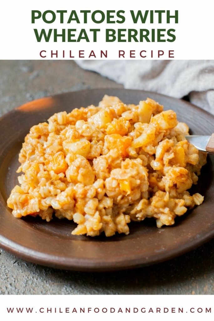 Chilean Papas con mote, Potatoes with wheat berries.