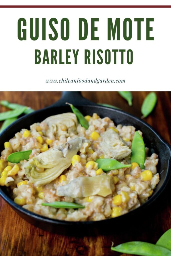 Pin for Guiso de Mote
Chilean Barley Risotto