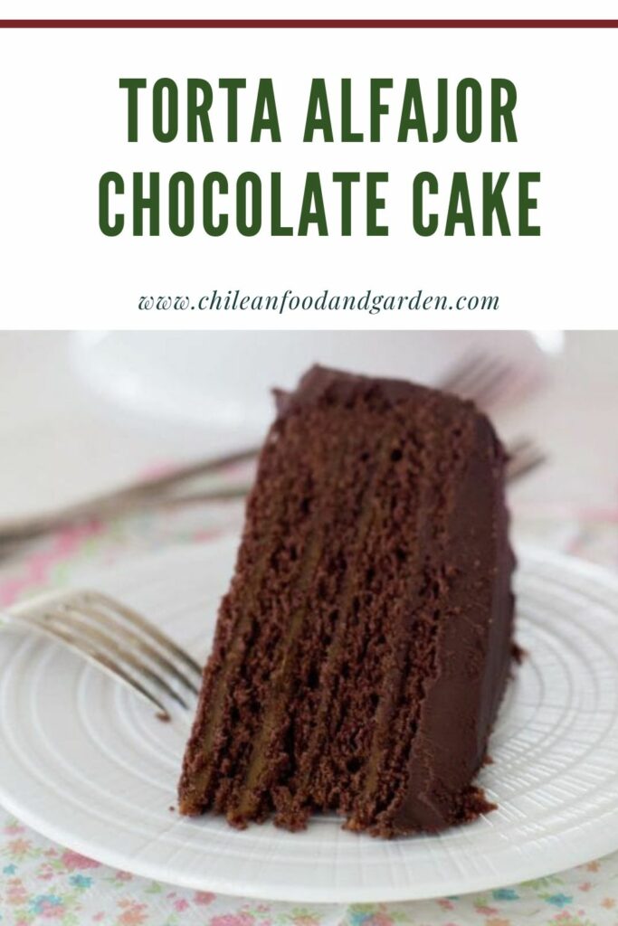 Pin for torta Alfajor Chocolate Cake