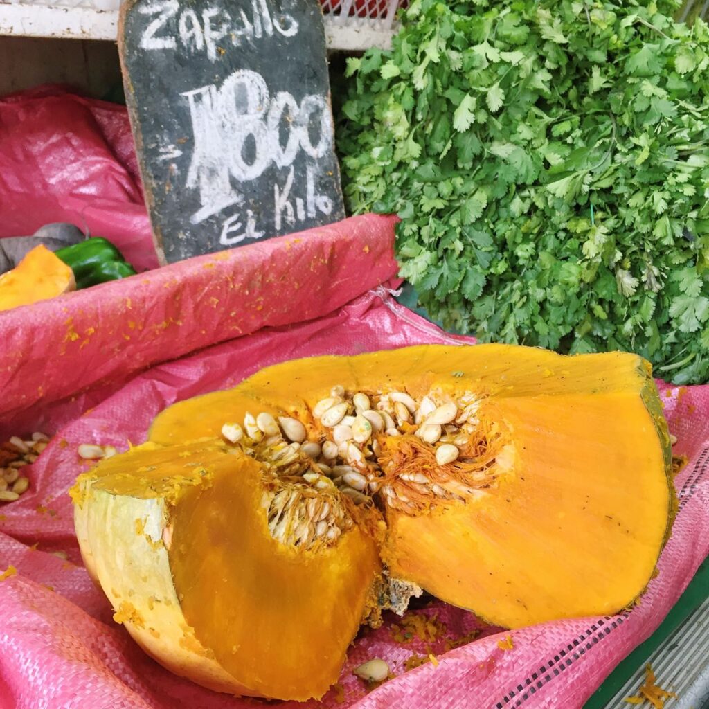 Chilean winter squash