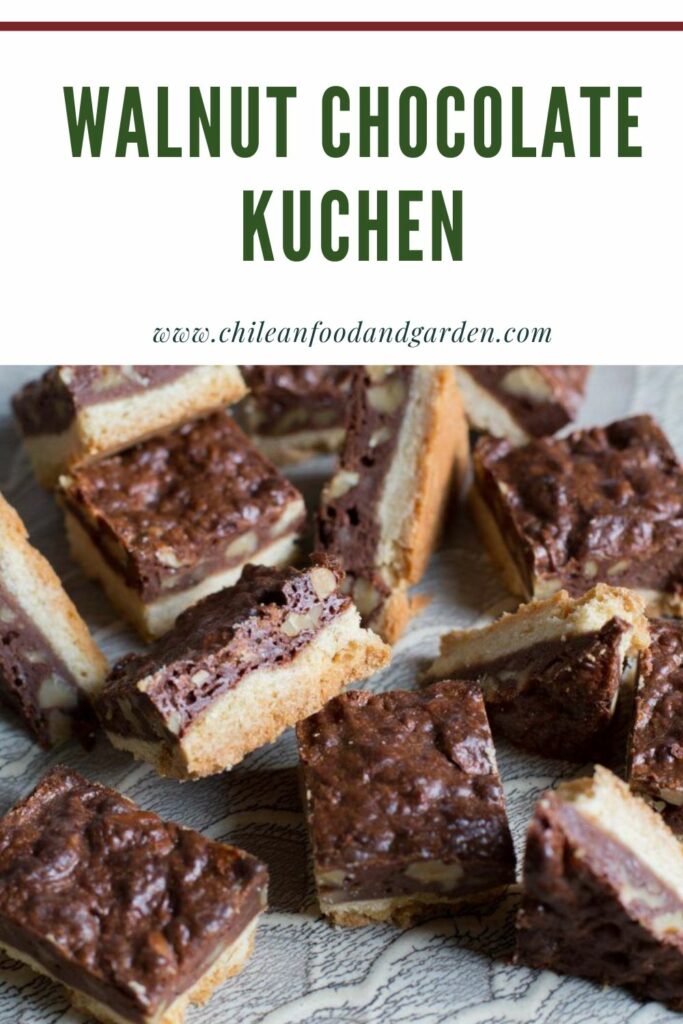 Walnut Chocolate Kuchen