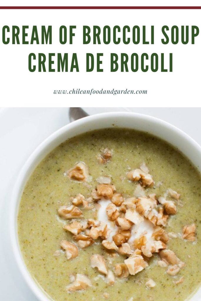 Cream of Broccoli Soup