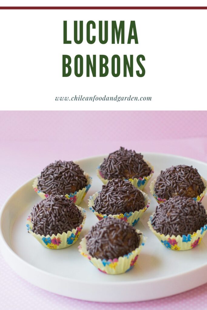 Pin for Lucuma bonbons