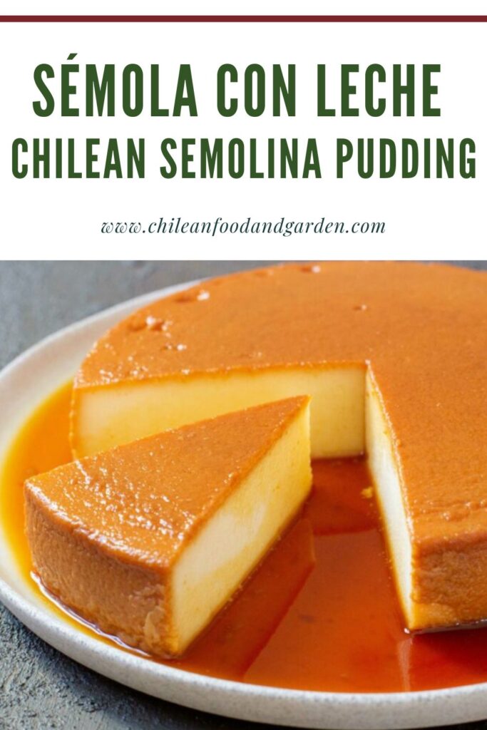 Pin for Sémola con leche Chilean Semolina Pudding