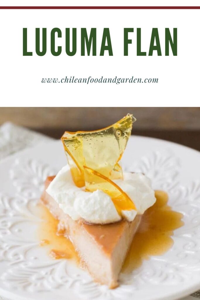 Pin for Lucuma Flan