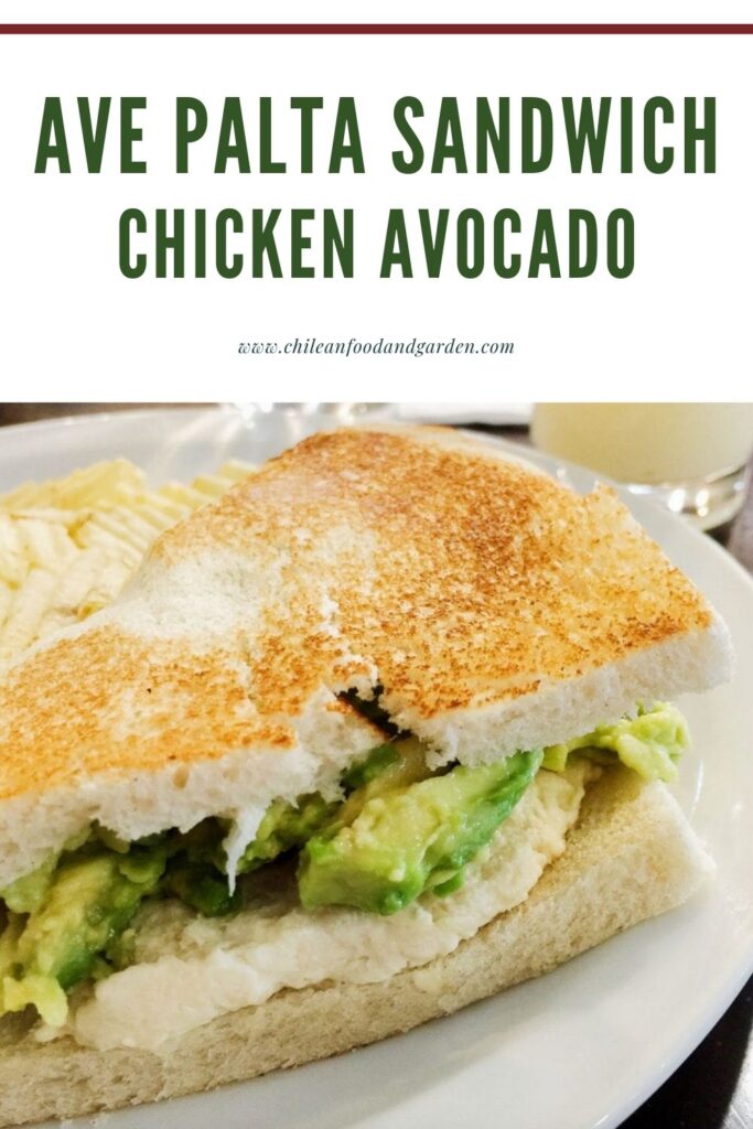 Pin for Ave Palta Sandwich Chicken Avocado