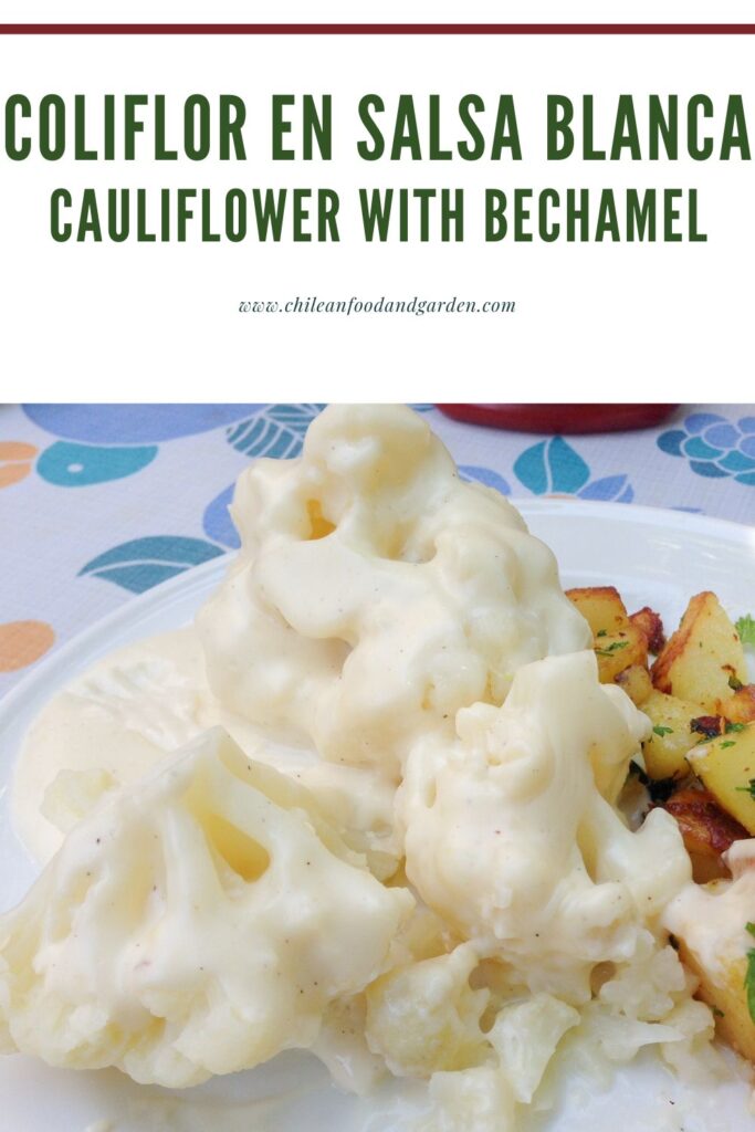 Pin for Coliflor con Salsa Blanca
Cauliflower with bechamel