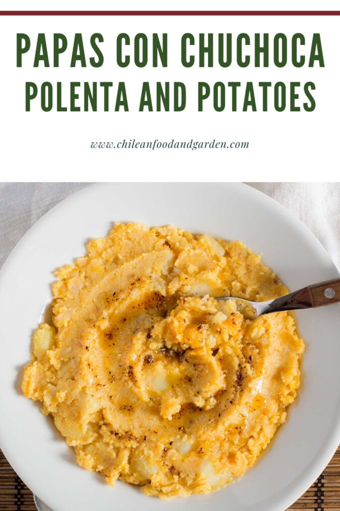 Pin for Papas con Chuchoca Chilean Polenta and Potatoes