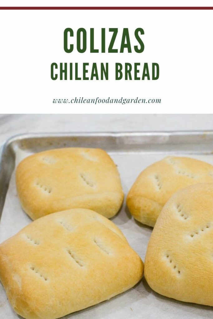 Pin for Chilean bread Colizas