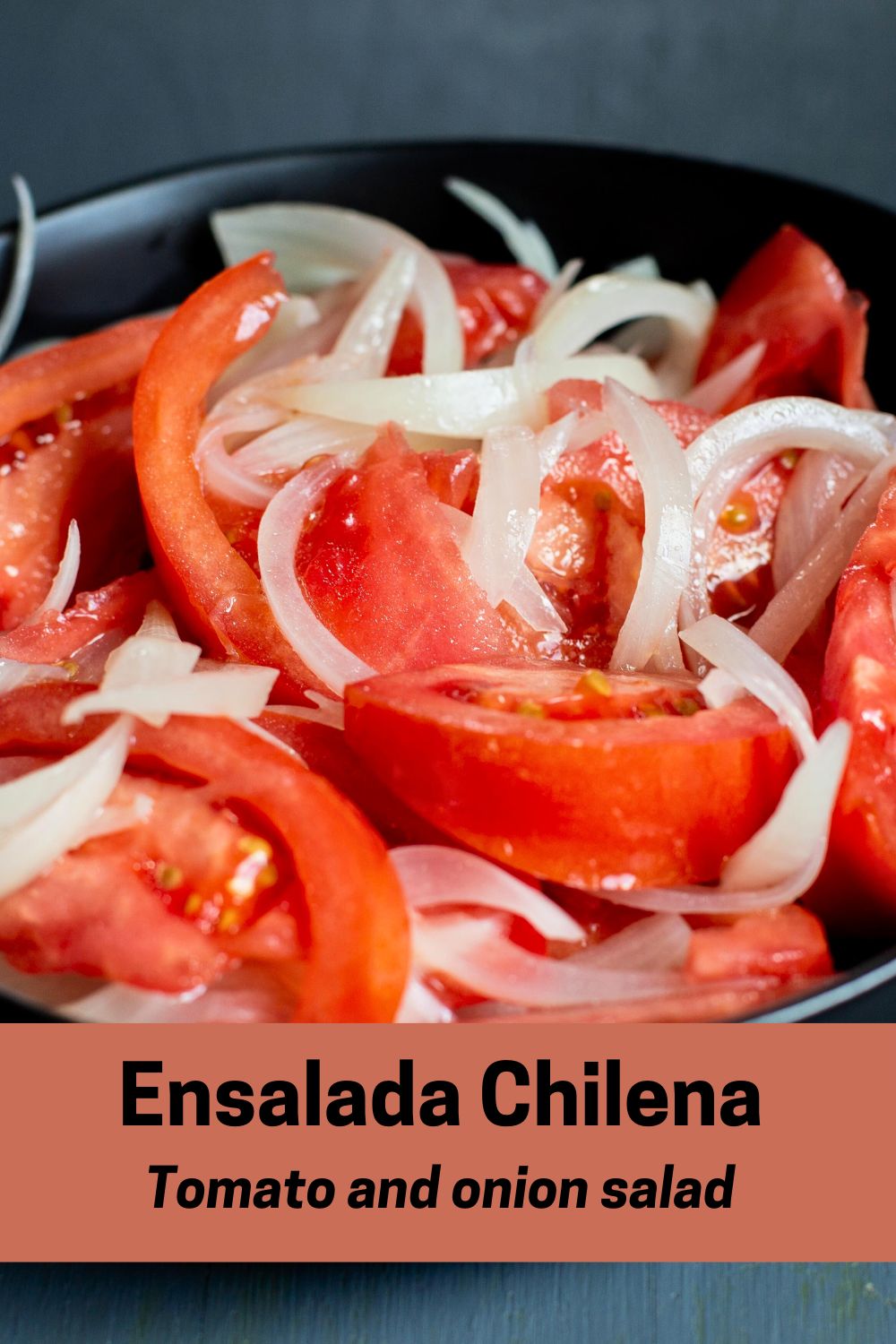 Ensalada Chilena Tomato and onions Pin