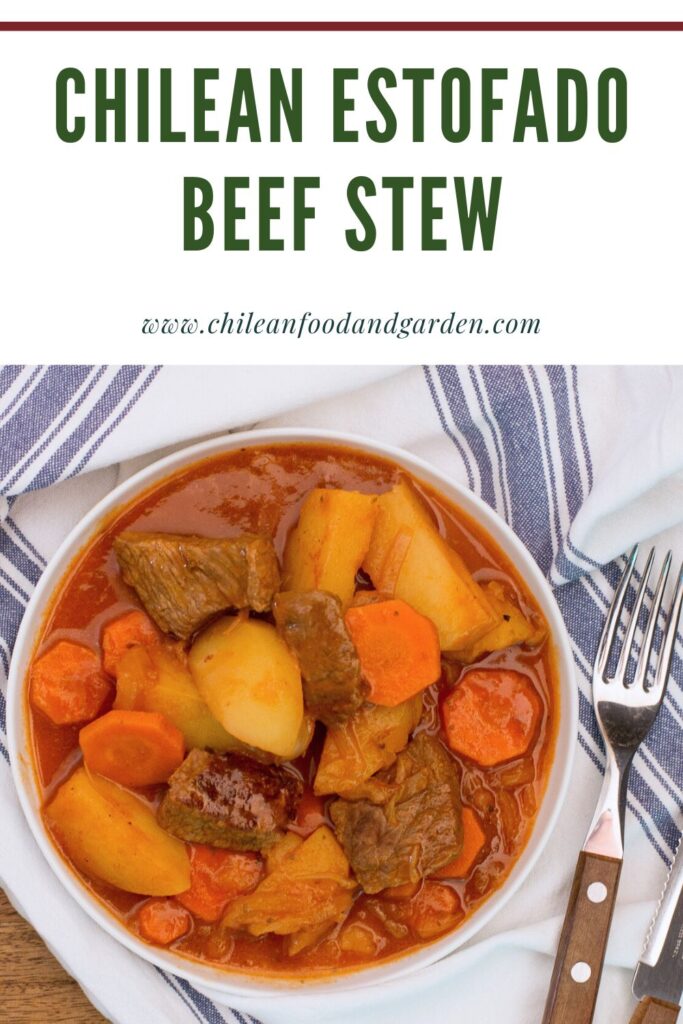 Pin for Chilean Estofado Beef Stew