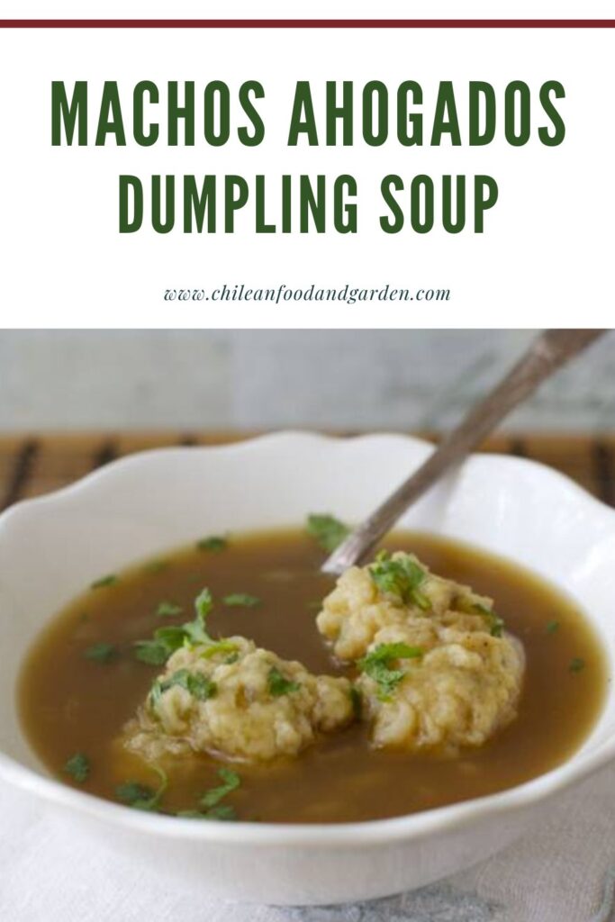 Pin for Machos Ahogados Chilean Dumpling Soup