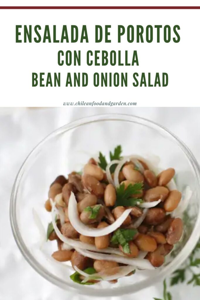 Pin for Ensalada de Porotos 
con Cebolla 
 Bean and Onion Salad 