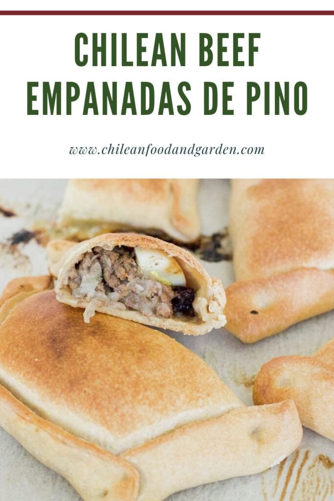 Empanada de pino