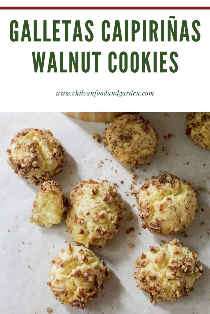 Pin for Galletas Caipiriñas Chilean Walnut Cookies